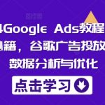 2024终极Google Ads教程：揭秘精准询盘秘籍，掌握谷歌广告投放全流程，数据分析与优化攻略！