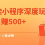 2024独家揭秘：抖音挂小程序躺赚攻略，日入500+，轻松稳定收入，小白也能快速上手赚翻天！