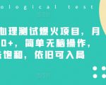 心理测试狂潮席卷小红书，轻松月入7000+，傻瓜式操作，市场潜力巨大，抓紧时机入局！