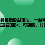 搜狐视频轻松赚钱攻略：单台电脑月入3000+，搭建收益矩阵，揭秘如何翻倍增收！
