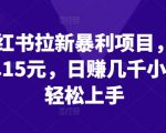 揭秘小红书拉新暴利项目：一单狂赚15元，日入数千，新手也能轻松捞金！