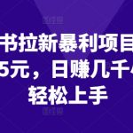 揭秘小红书拉新暴利项目：一单狂赚15元，日入数千，新手也能轻松捞金！