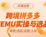 跨境电商拼多多TEMU终极实操攻略：独家选品秘籍，高效运营技巧大揭秘！