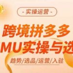 跨境电商拼多多TEMU终极实操攻略：独家选品秘籍，高效运营技巧大揭秘！