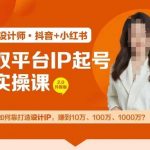双平台IP打造秘籍：从0到1000万，揭秘设计IP盈利的独家实操技巧！