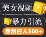 TK美女视频搬运攻略：每日狂吸300+粉丝，无限流量轻松变现，揭秘不封号技巧！