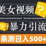 TK美女视频搬运攻略：每日狂吸300+粉丝，无限流量轻松变现，揭秘不封号技巧！