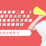 5天速成小红书开店高手！第二期训练营火热招生，轻松赚钱秘籍大揭秘！