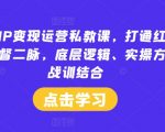 小红书IP变现秘籍：独家运营私教课，解锁红书赚钱之道，深度揭秘底层逻辑与实操技巧！