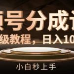 视频号收益攻略：轻松日赚1000元，新手必看保姆级教程，揭秘快速上手赚钱秘诀！