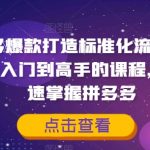 拼多多终极秘籍：2.0版爆款打造标准化流程，从新手到高手一课通，快速逆袭电商巅峰！