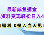 揭秘：零成本咸鱼掘金术，虚拟资料轻松变现，日入400+，小白也能快速上手，立即见证收益奇迹！