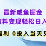 揭秘：零成本咸鱼掘金术，虚拟资料轻松变现，日入400+，小白也能快速上手，立即见证收益奇迹！