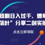 小红书短剧日赚千元揭秘！爆单高手繁华落叶亲授二创实操秘诀，点击速学！