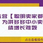 拼多多运营秘籍：聪明卖家必看！无水印完整版助力中小卖家破解业绩增长瓶颈，轻松提升销量！