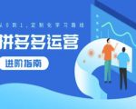 拼多多运营高手秘籍：0基础到精通，打造个性化学习路径，快速崛起！