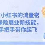 保险达人必看：揭秘小红书流量密码，掌握保险展业新技能，从0到1实战教学，轻松实现业绩飞跃！