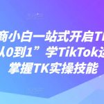 跨境电商新手攻略：轻松上手TIKTOK赚钱，从0到1快速精通TK运营实操技巧，月入过万不是梦！