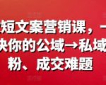 极致爆款！短文案营销秘籍，一课破解公域转私域涨粉与成交难题，点击率飙升！