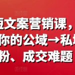极致爆款！短文案营销秘籍，一课破解公域转私域涨粉与成交难题，点击率飙升！
