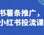 揭秘小红书薯条推广秘籍：独家小红书投流课程，让你快速成为营销高手！