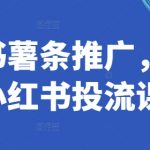 揭秘小红书薯条推广秘籍：独家小红书投流课程，让你快速成为营销高手！