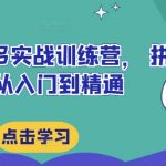 拼多多实战秘籍：从新手小白到运营高手的蜕变之路
