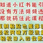 揭秘：小红书一周狂揽万级流量池！复制粘贴也能日引数千，减肥案例教你稳定日入四位数！
