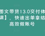 抖音图文带货终极教程13.0版全新上线，一键掌握快速出单秘诀，高效打造爆款账号！