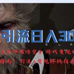 轻松日赚3000+，《黑神话悟空》游戏掘金秘籍大揭秘！引流与变现双重攻略，赚钱高手必备！