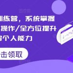 短视频实战训练营：账号运营精细化操作全揭秘，全方位助你成为顶级创作者！