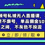 揭秘：无人直播新玩法——视频号私域流量变现攻略，稳赚高佣50%-65%，安全合规，告别封号风险！