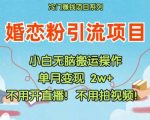 揭秘：无需直播、拍视频、交付，小红书婚恋粉引流秘诀大公开！轻松吸引海量粉丝！