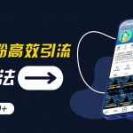 创业必备：独家抖音高效引流秘籍，日增300+粉丝，实战技巧大揭秘，告别理论派，成为真正的引流高手！