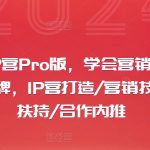 摄影师IP营PRO版：精通营销策略+塑造个人品牌，全面赋能IP构建、营销技巧、流量助推及独家合作内推！