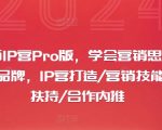 摄影师IP营PRO版：精通营销策略+塑造顶级个人品牌，全面赋能IP构建、营销技巧、流量暴涨及独家合作内推！
