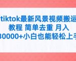 揭秘：轻松月入3W+，小白必看！TIKTOK最新风景视频搬运教程，简单去重，快速上手赚翻天！