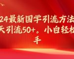 2024独家国学引流秘籍，日引50+精准粉丝，新手也能轻松掌握的引流技巧大揭秘！