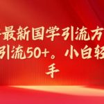 2024独家国学引流秘籍，日引50+精准粉丝，新手也能轻松掌握的引流技巧大揭秘！