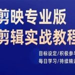 剪映专业版剪辑秘籍大公开！目标导向实战教学，每日一练助你快速成为剪辑高手！