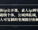 新个体IP崛起秘籍：从素人变身年入百万超级个体，公域转私域流量变现攻略大揭秘！