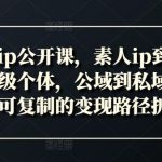新个体IP崛起秘籍：从素人变身年入百万超级个体，公域转私域流量变现攻略大揭秘！