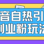 抖音独家引流秘籍：轻松日吸200+高价值创业粉丝，揭秘自热引流新玩法！