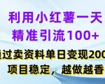揭秘：小红书日引100+精准流量，项目变现日入2000+，稳定赚钱秘诀大公开！