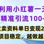 揭秘：小红书日引100+精准流量，项目变现日入2000+，稳定赚钱秘诀大公开！