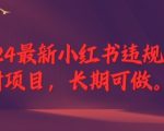 2024终极攻略：揭秘小红书违规解封项目，稳定收入来源，实现财务自由不是梦！
