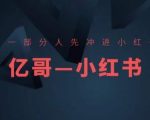 带领你率先攻占小红书市场！揭秘开店、精准选品、打造爆款裂变秘诀，轻松引爆销量！