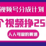 视频号收益攻略：轻松月入过万，揭秘人人都能掌握的2500+收益秘籍！