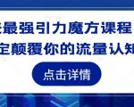 地表最强引力魔方课程，彻底革新你的流量思维！