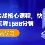 1688分销攻略：掌握核心秘诀，快速精通1688分销，月入过万不是梦！
